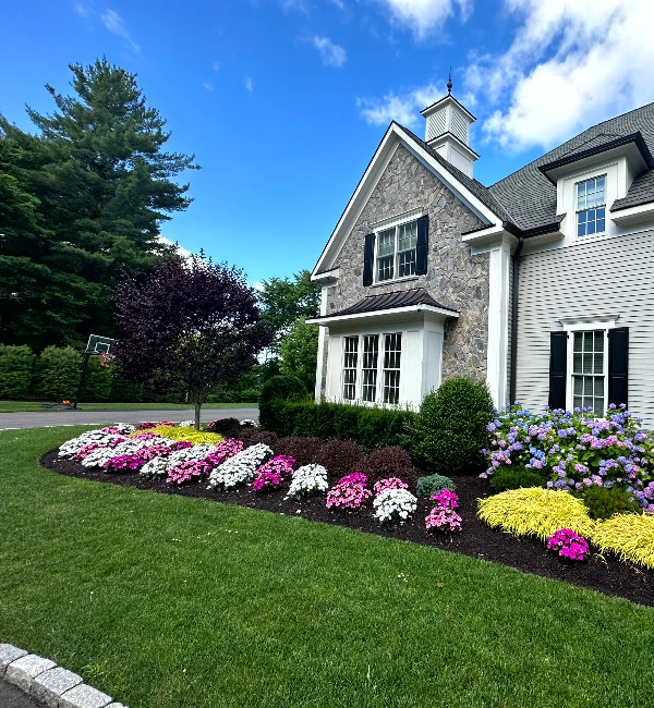 Landscaping Contractor Rocky Hill CT